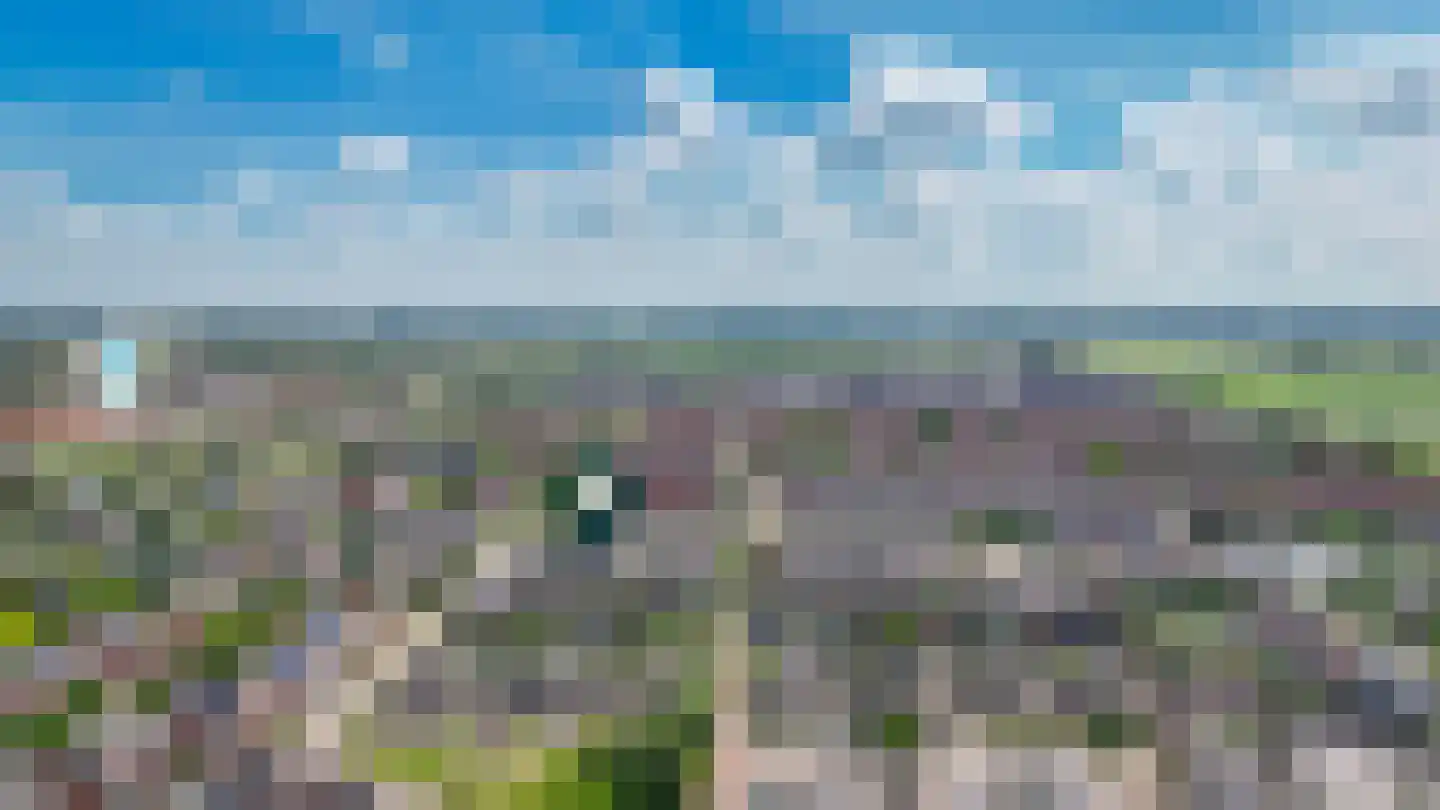 Ruisvoorn 82 Tiel thumbnail 38
