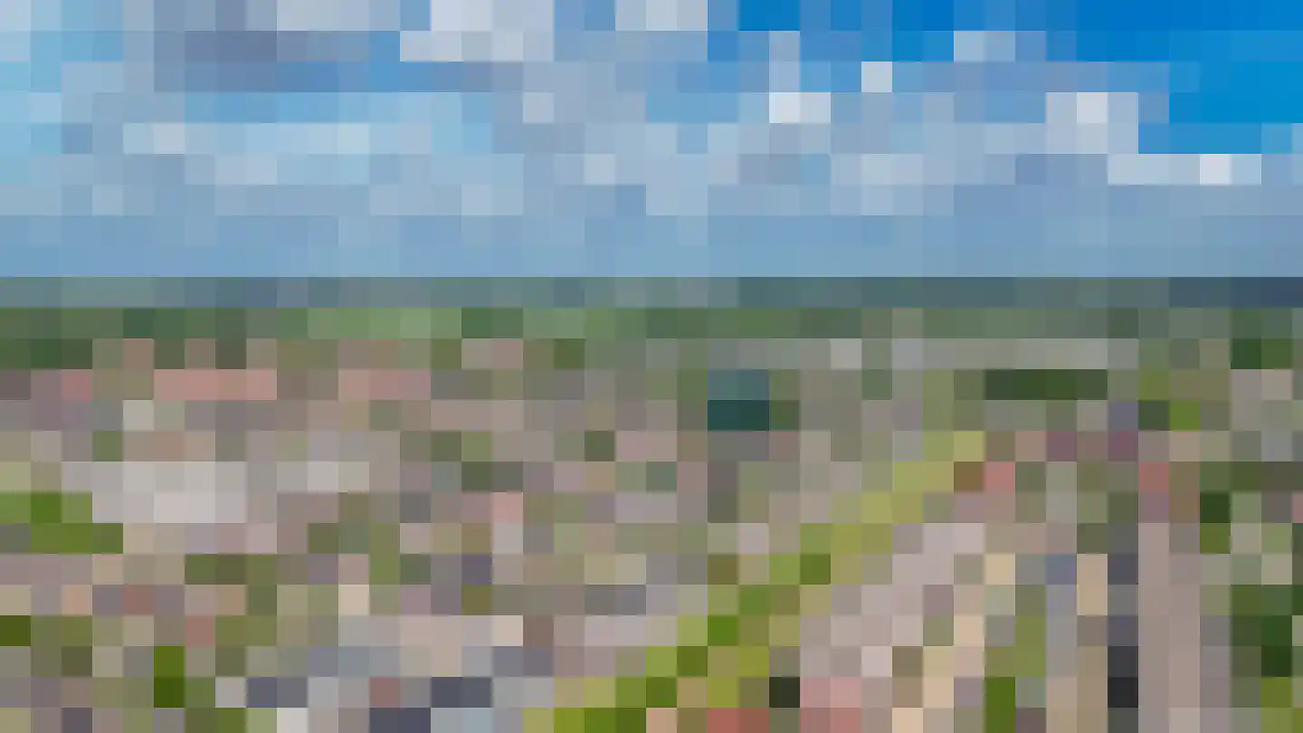 Ruisvoorn 82 Tiel thumbnail 39