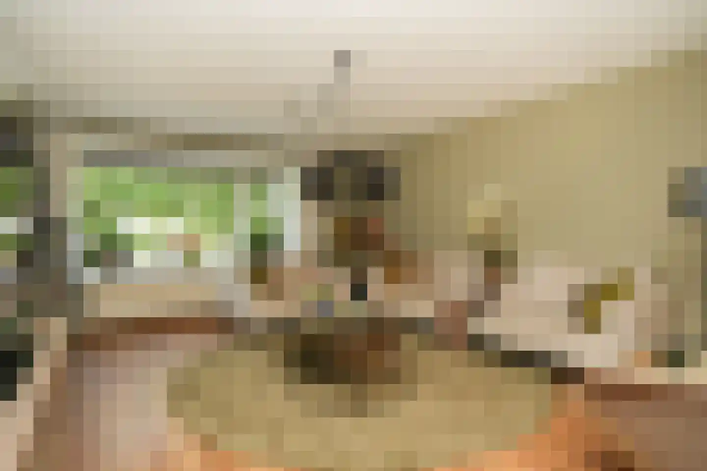 Ruisvoorn 82 Tiel thumbnail 4