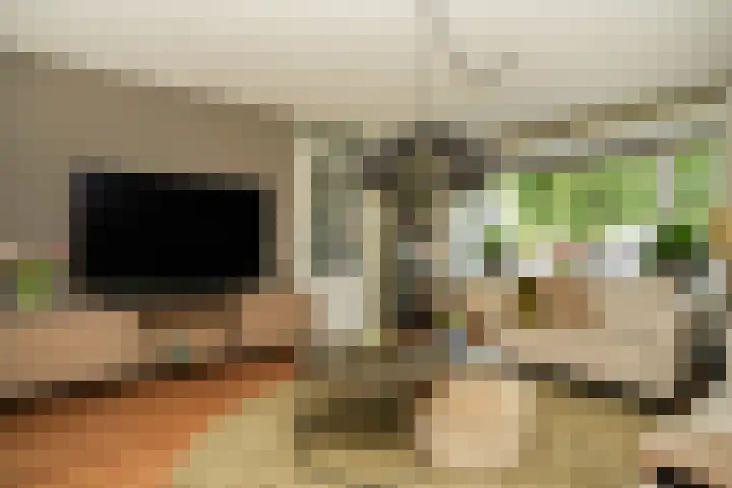 Ruisvoorn 82 Tiel thumbnail 5