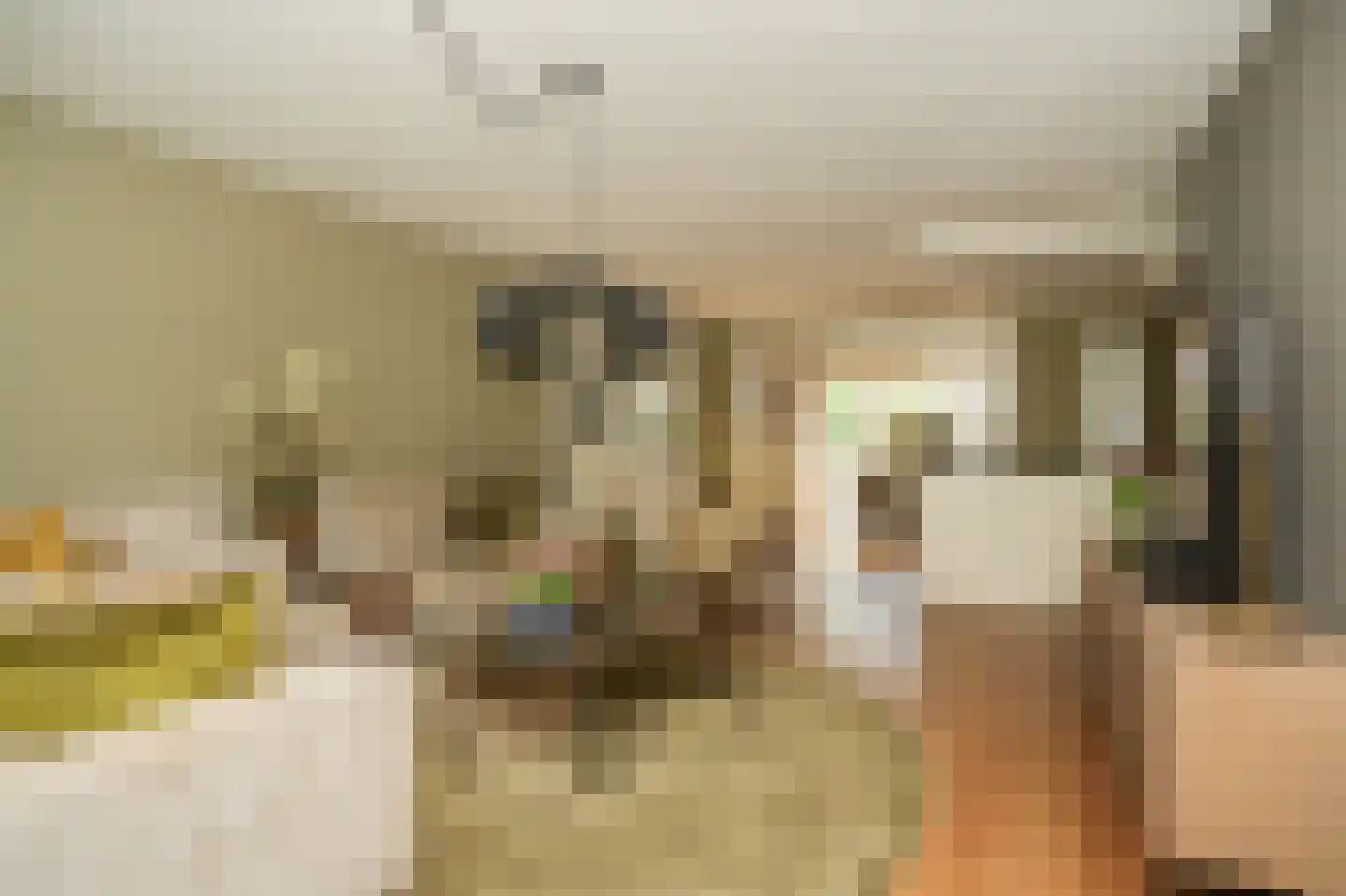 Ruisvoorn 82 Tiel thumbnail 6