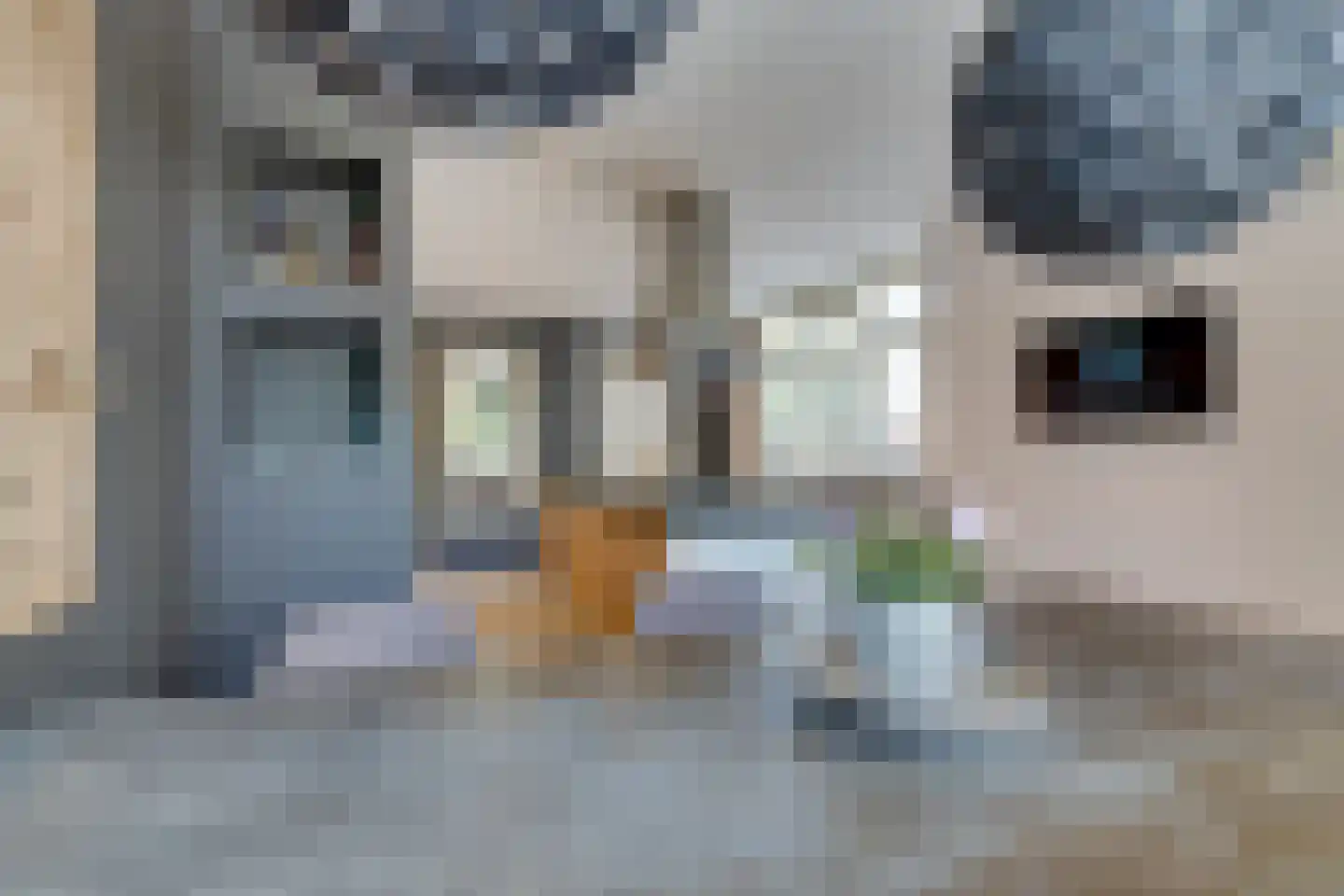 Ruisvoornlaan 16 Aalsmeer thumbnail 14