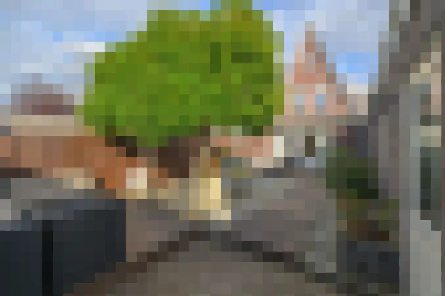 Ruisvoornlaan 16 Aalsmeer thumbnail 18