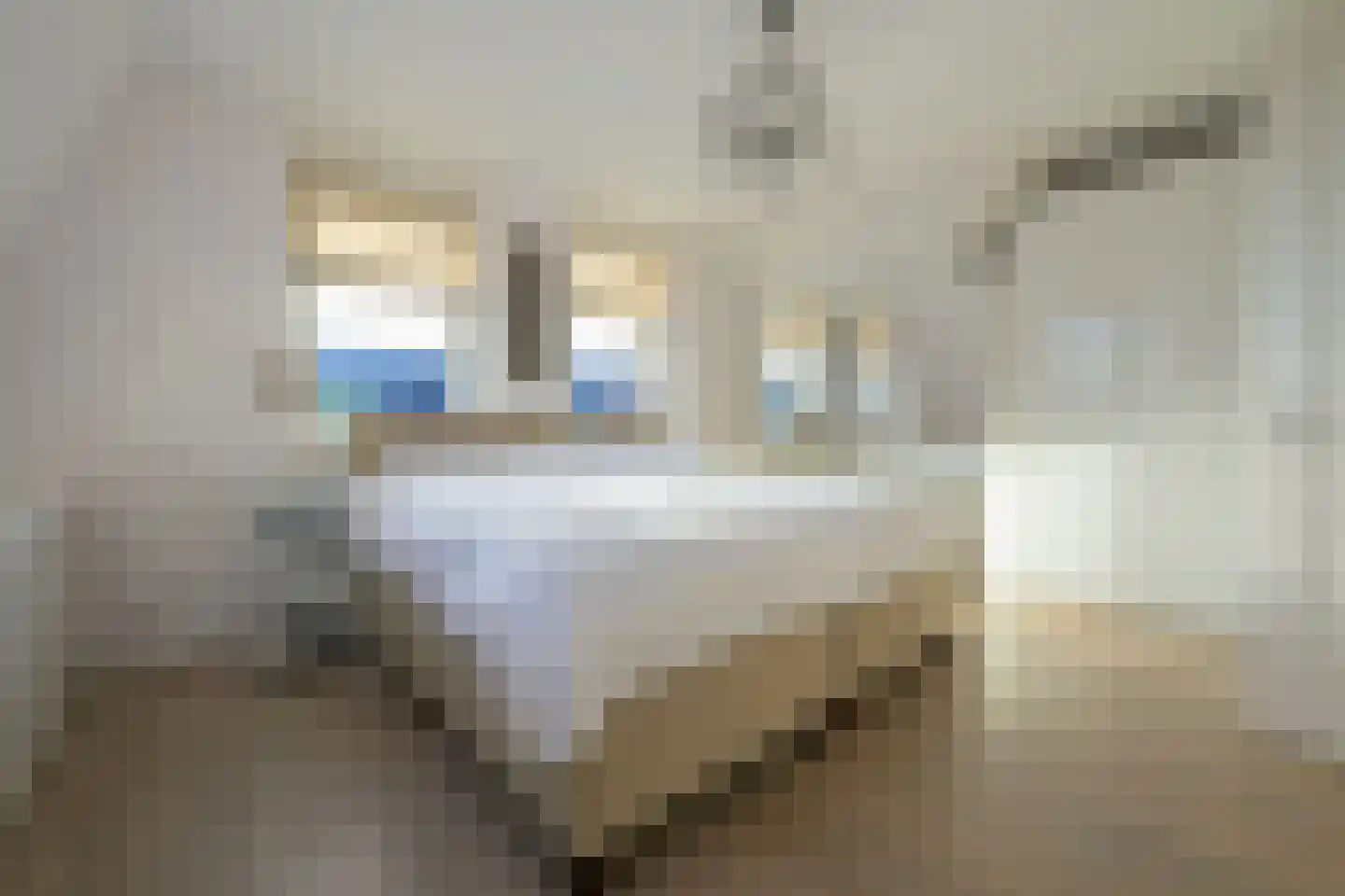 Ruisvoornlaan 16 Aalsmeer thumbnail 35