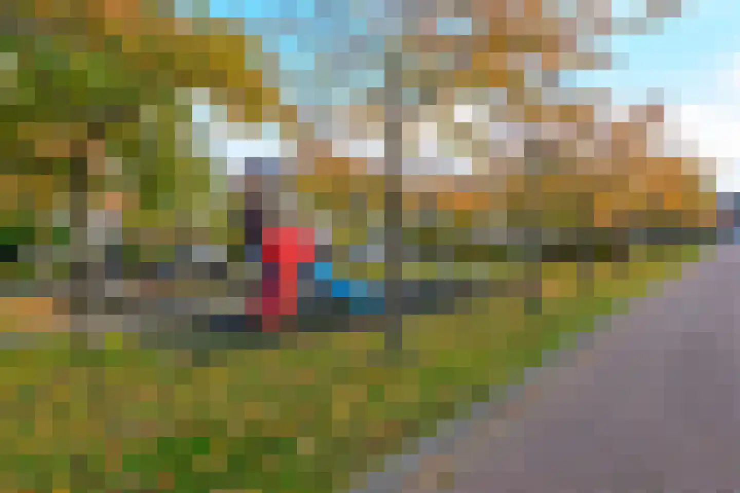 Ruisvoornlaan 16 Aalsmeer thumbnail 48