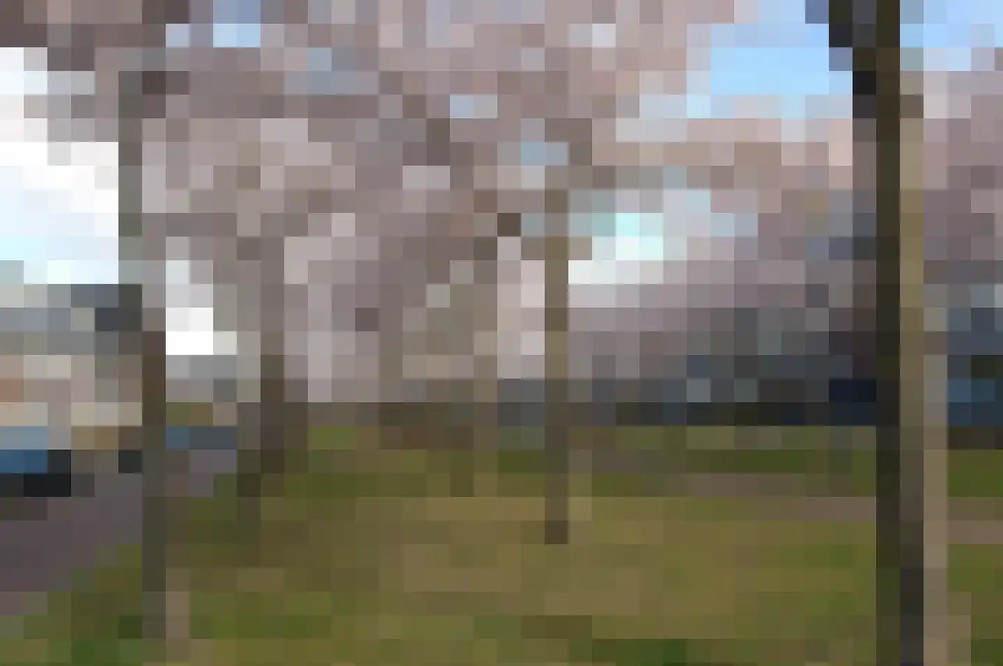 Ruisvoornlaan 16 Aalsmeer thumbnail 50