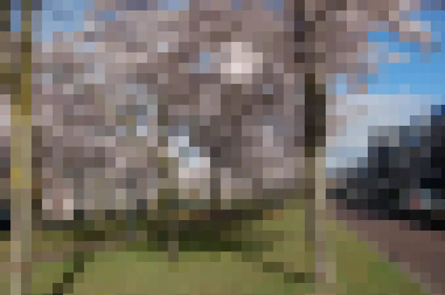 Ruisvoornlaan 16 Aalsmeer thumbnail 51