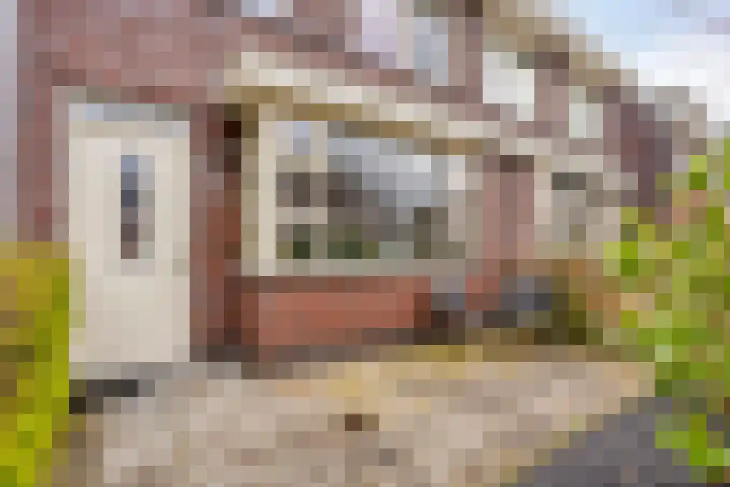 Ruisvoornlaan 5 Aalsmeer thumbnail 29