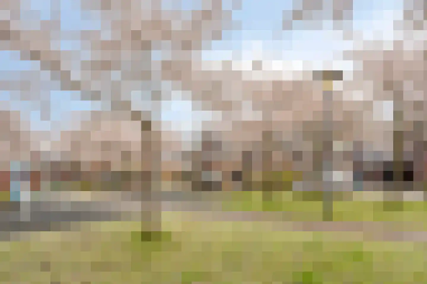 Ruisvoornlaan 5 Aalsmeer thumbnail 30