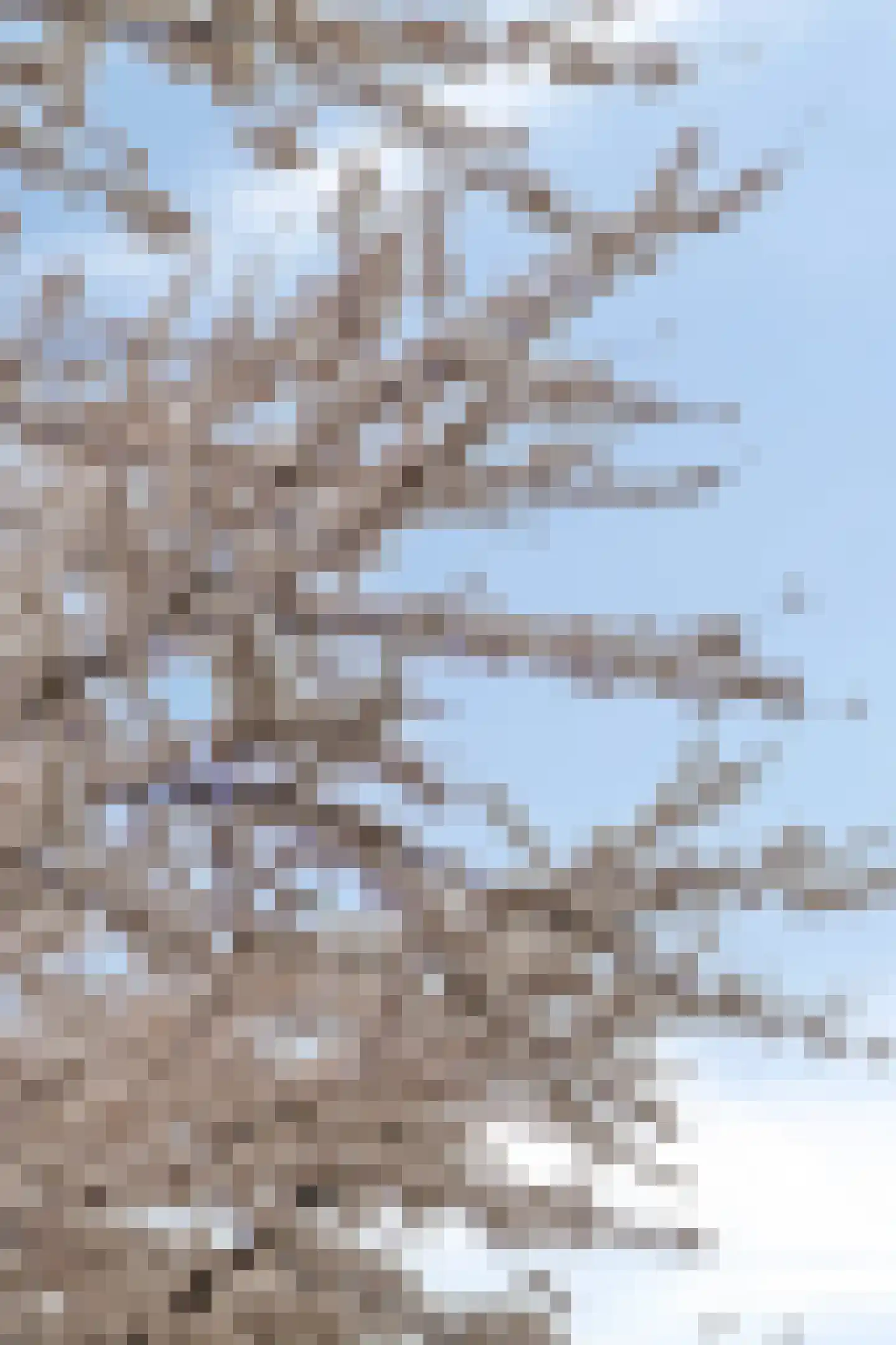 Ruisvoornlaan 5 Aalsmeer thumbnail 31