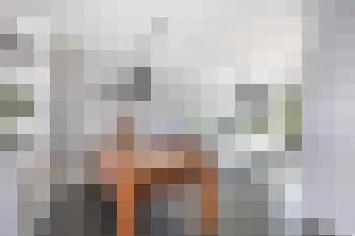 Ruisvoornpad 21 Hoogvliet Rotterdam thumbnail 13