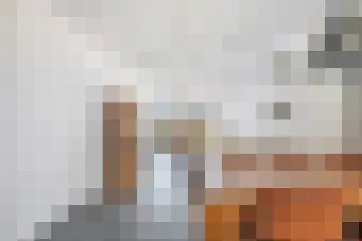 Ruisvoornpad 21 Hoogvliet Rotterdam thumbnail 14