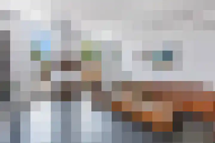 Ruisvoornpad 21 Hoogvliet Rotterdam thumbnail 16