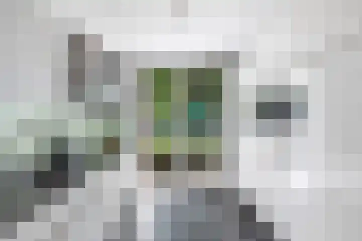 Ruisvoornpad 21 Hoogvliet Rotterdam thumbnail 23