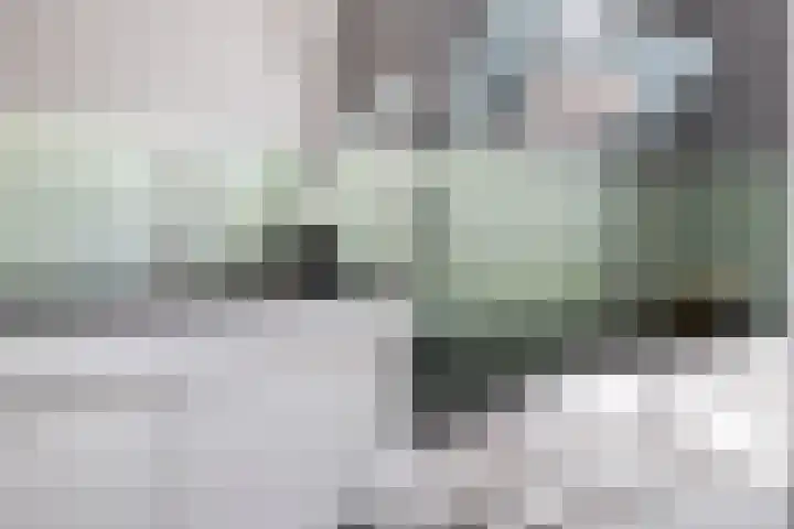 Ruisvoornpad 21 Hoogvliet Rotterdam thumbnail 25