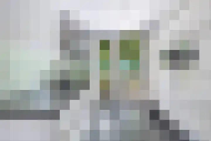Ruisvoornpad 21 Hoogvliet Rotterdam thumbnail 5