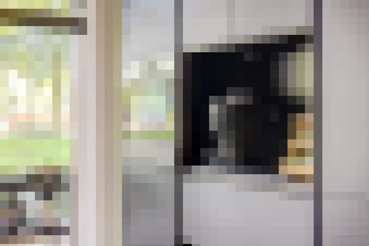 Ruisvoornpad 51 Hoogvliet Rotterdam thumbnail 10