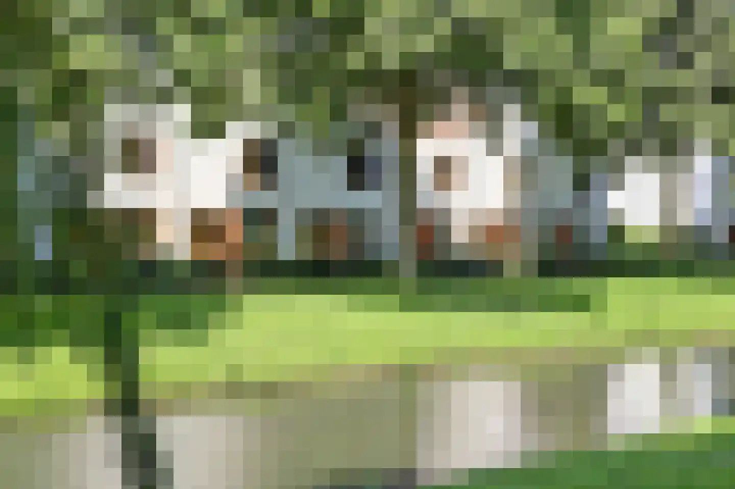 Ruisvoornpad 51 Hoogvliet Rotterdam thumbnail 34