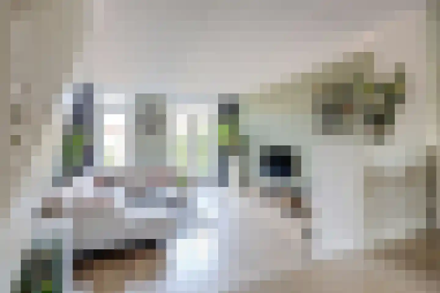 Ruisvoornpad 51 Hoogvliet Rotterdam thumbnail 6