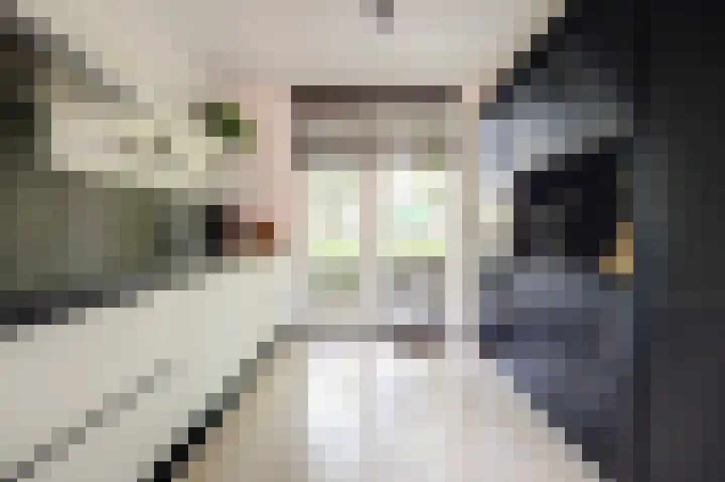 Ruisvoornpad 51 Hoogvliet Rotterdam thumbnail 8