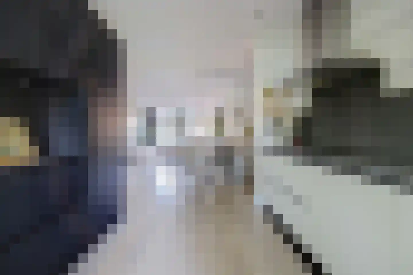 Ruisvoornpad 51 Hoogvliet Rotterdam thumbnail 9