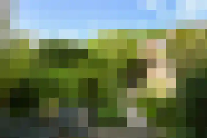 Ruisvoornvijver 1 Den Haag thumbnail 10