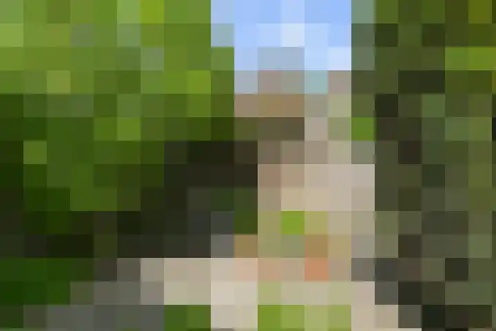 Ruisvoornvijver 1 Den Haag thumbnail 11