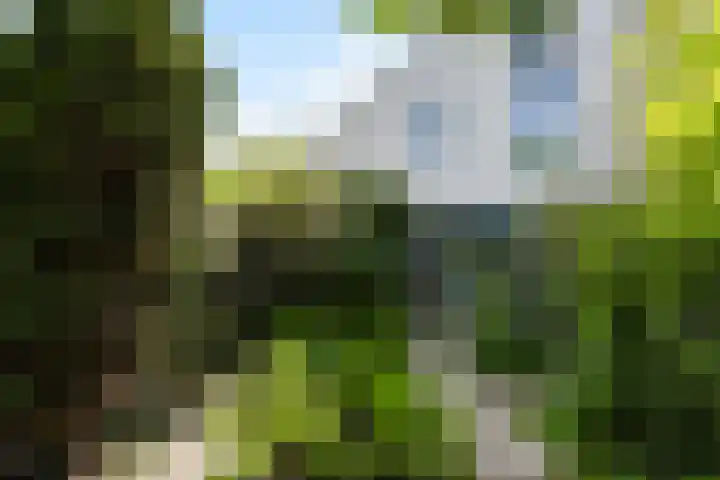 Ruisvoornvijver 1 Den Haag thumbnail 12