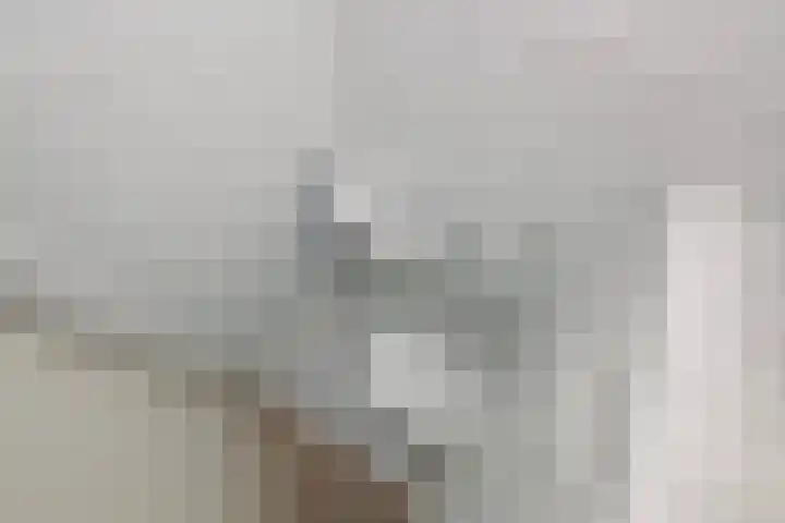Ruisvoornvijver 1 Den Haag thumbnail 13