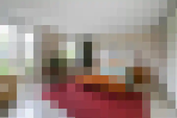 Ruisvoornvijver 1 Den Haag thumbnail 14