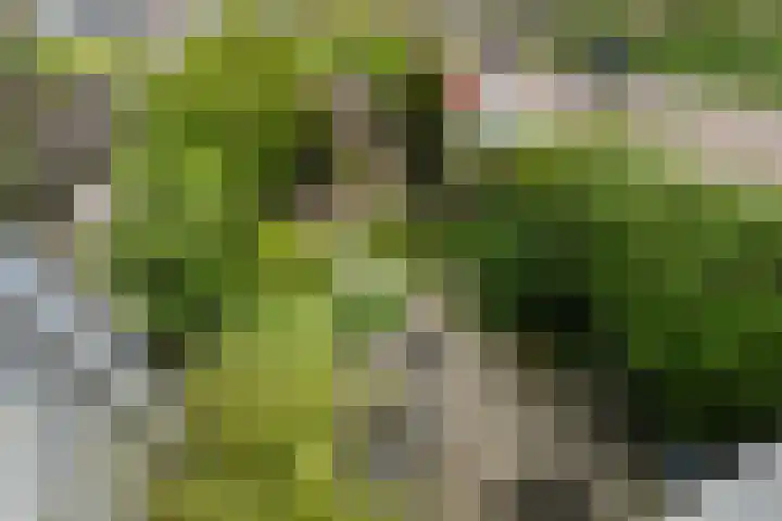 Ruisvoornvijver 1 Den Haag thumbnail 16