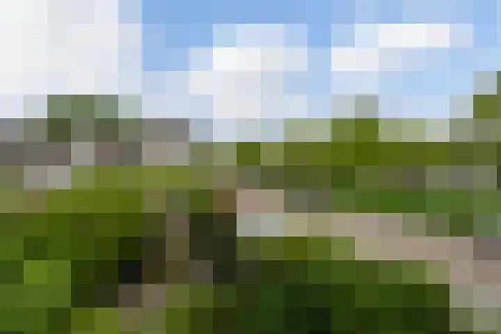 Ruisvoornvijver 1 Den Haag thumbnail 17