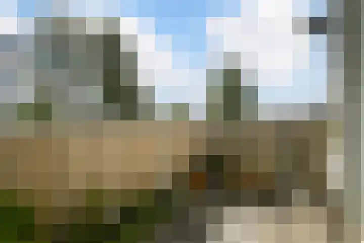 Ruisvoornvijver 1 Den Haag thumbnail 19