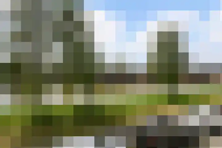 Ruisvoornvijver 1 Den Haag thumbnail 20