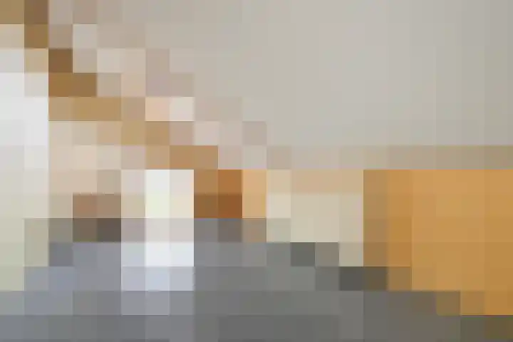 Ruisvoornvijver 1 Den Haag thumbnail 23