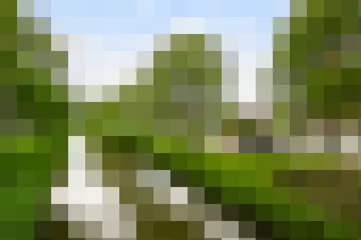 Ruisvoornvijver 1 Den Haag thumbnail 25