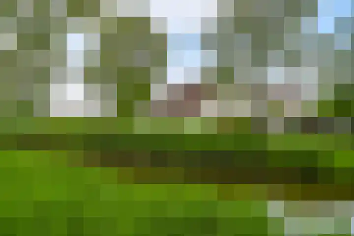 Ruisvoornvijver 1 Den Haag thumbnail 26