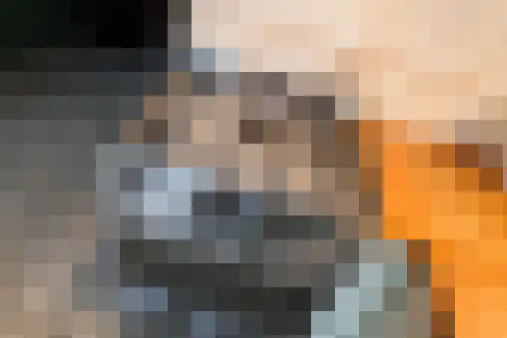 Ruisvoornvijver 1 Den Haag thumbnail 8