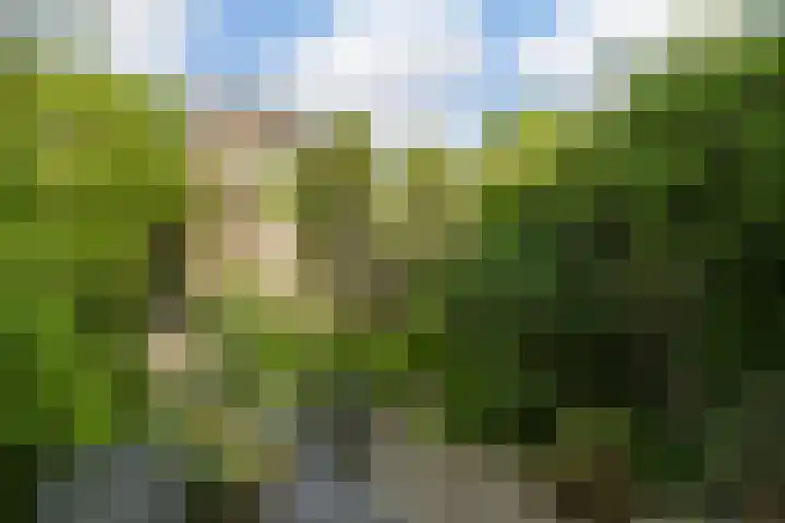 Ruisvoornvijver 1 Den Haag thumbnail 9