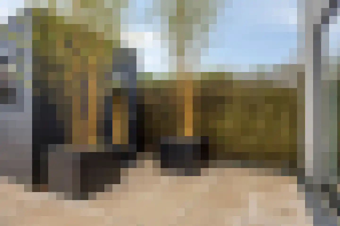 Ruisvoornvijver 3 Den Haag thumbnail 25