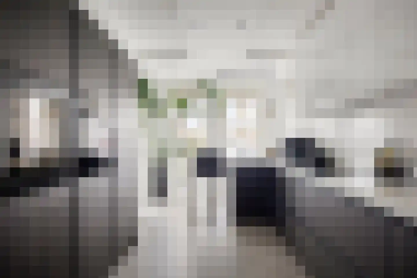 Ruisvoornvijver 3 Den Haag thumbnail 4