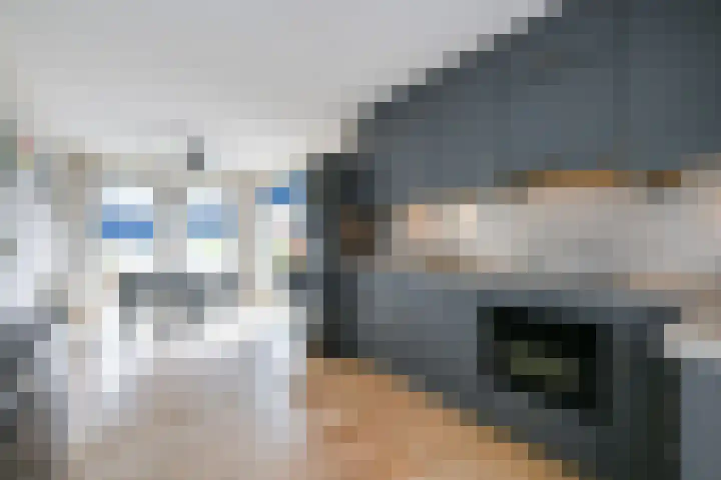 Ruisvoornvijver 31 Den Haag thumbnail 19