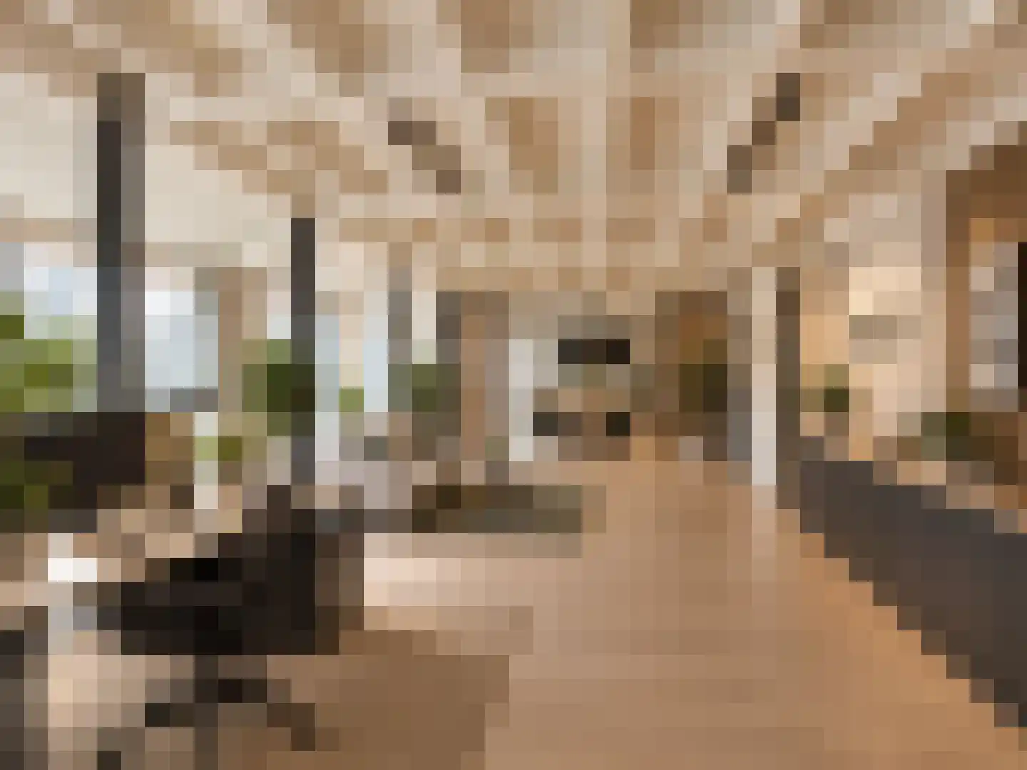 Ruisvoornvijver 31 Den Haag thumbnail 4