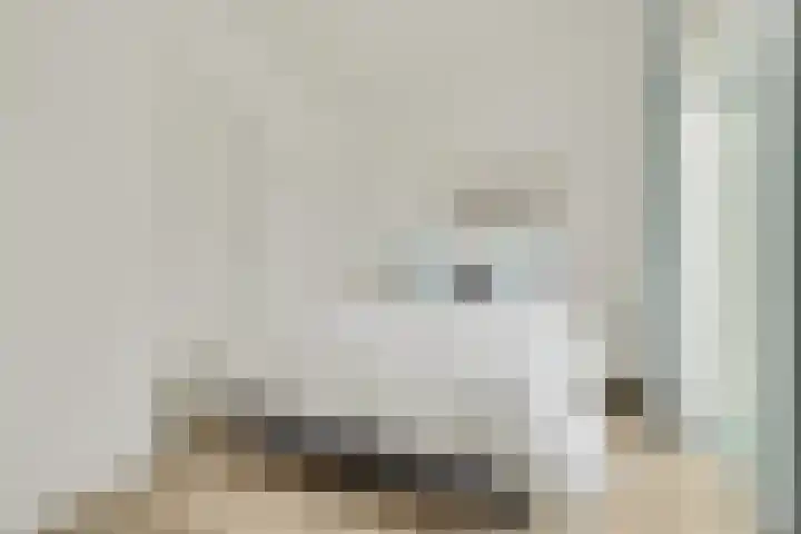 Ruisweg 14 Wemeldinge thumbnail 10