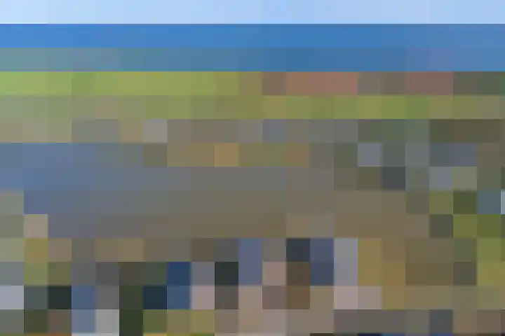 Ruisweg 14 Wemeldinge thumbnail 17