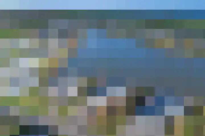 Ruisweg 14 Wemeldinge thumbnail 18
