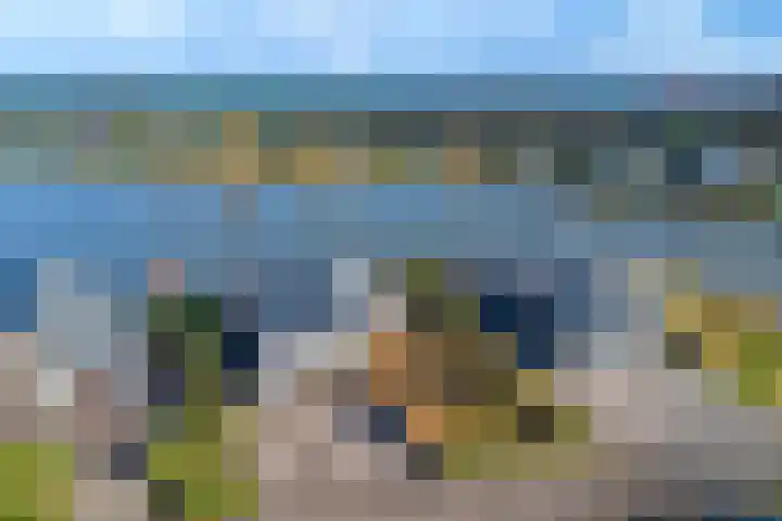 Ruisweg 14 Wemeldinge thumbnail 19