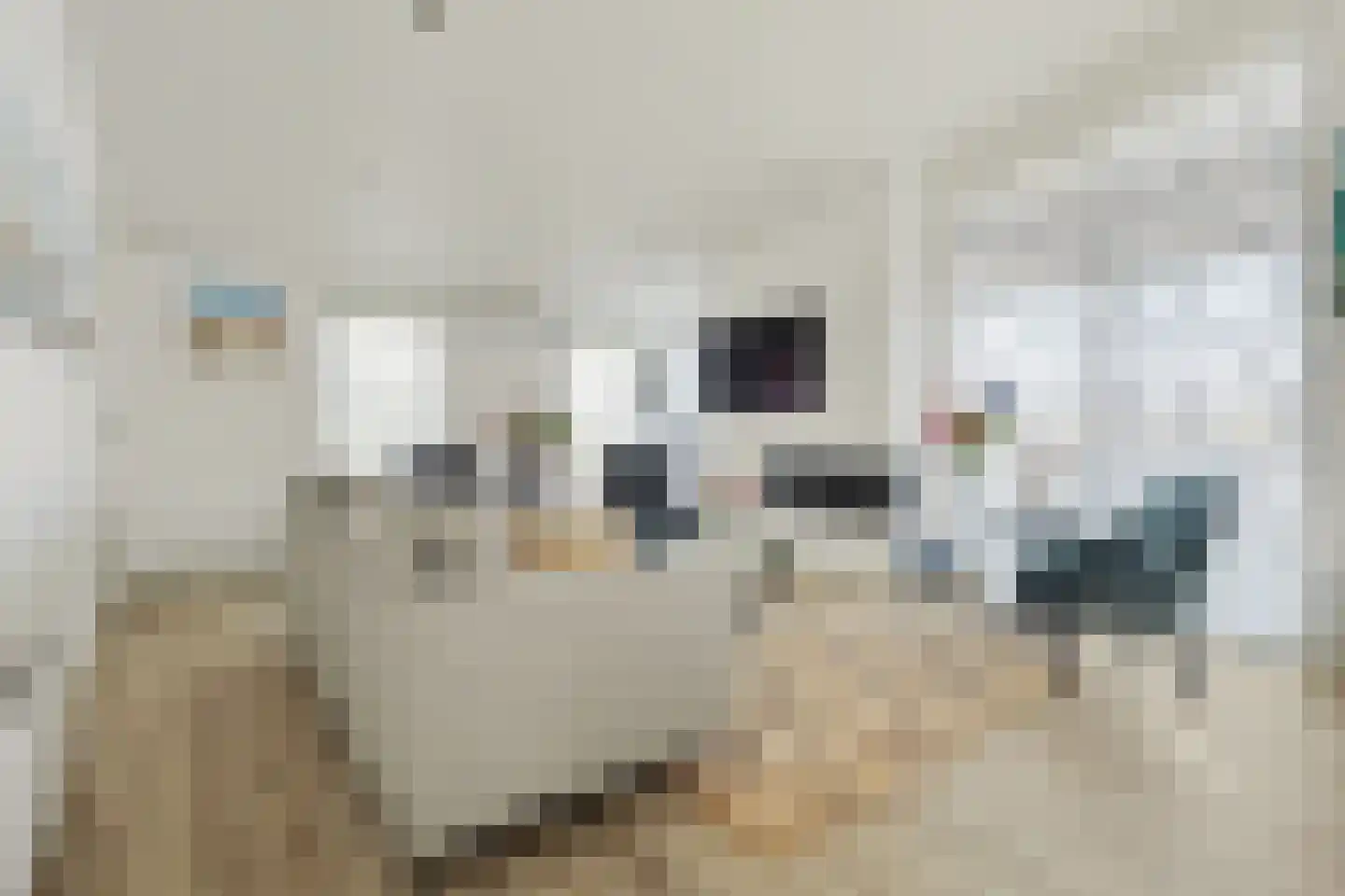 Ruisweg 14 Wemeldinge thumbnail 29