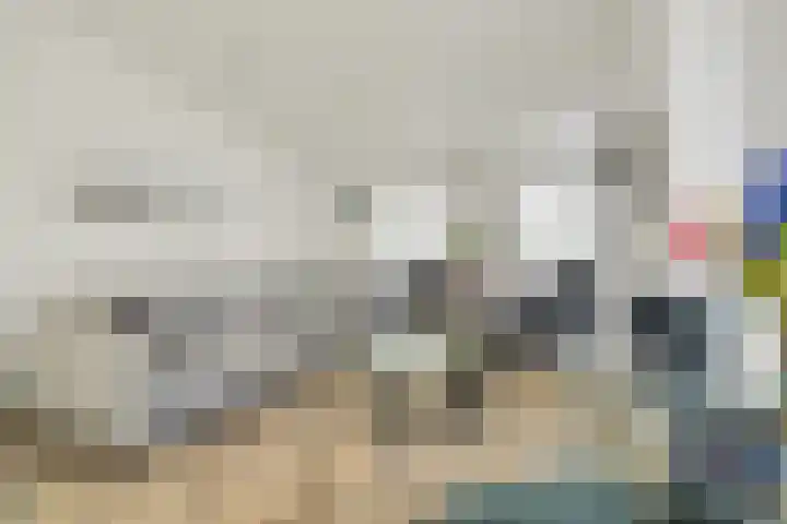 Ruisweg 14 Wemeldinge thumbnail 30