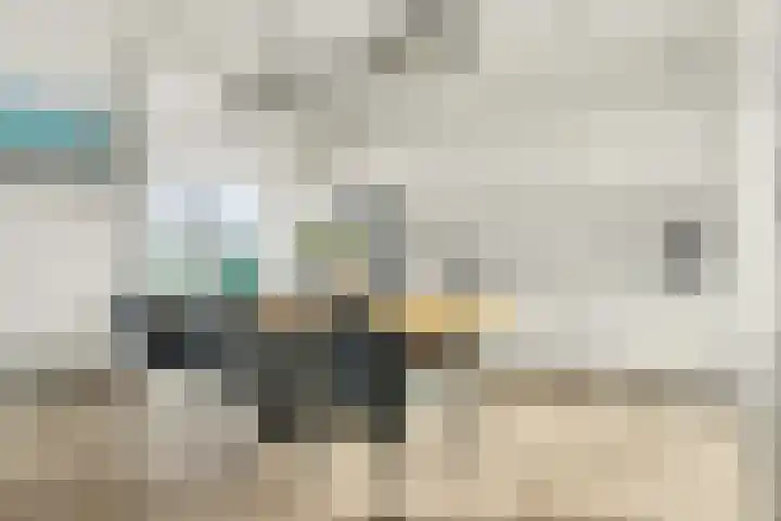 Ruisweg 14 Wemeldinge thumbnail 31